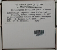 Image Associated With the Occurence